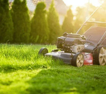 Top-rated yard cleanup service experts serving Philadelphia, PA - Oliveira & Glass Lawn