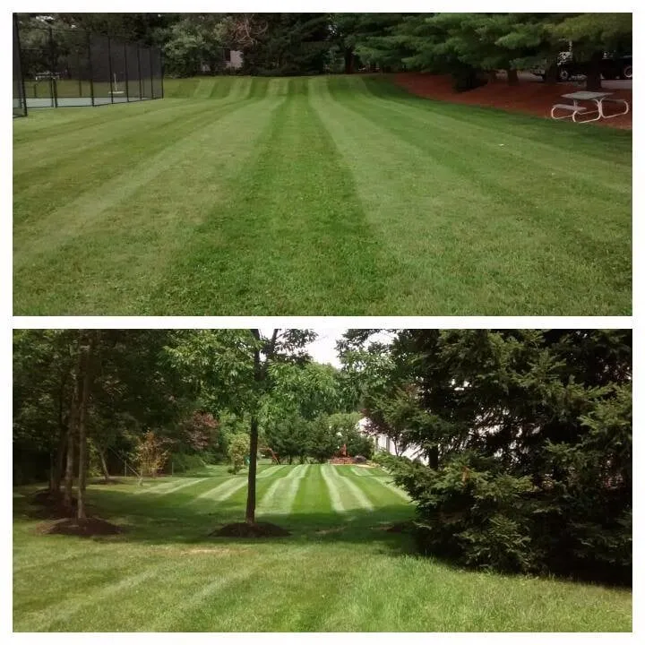 Custom lawn care service for outdoor upgrades in Princeton, NJ by Oliveira Landscape & Design