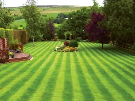Affordable lawn care service for beautiful yards across Princeton, NJ - Oliveira Landscape & Design