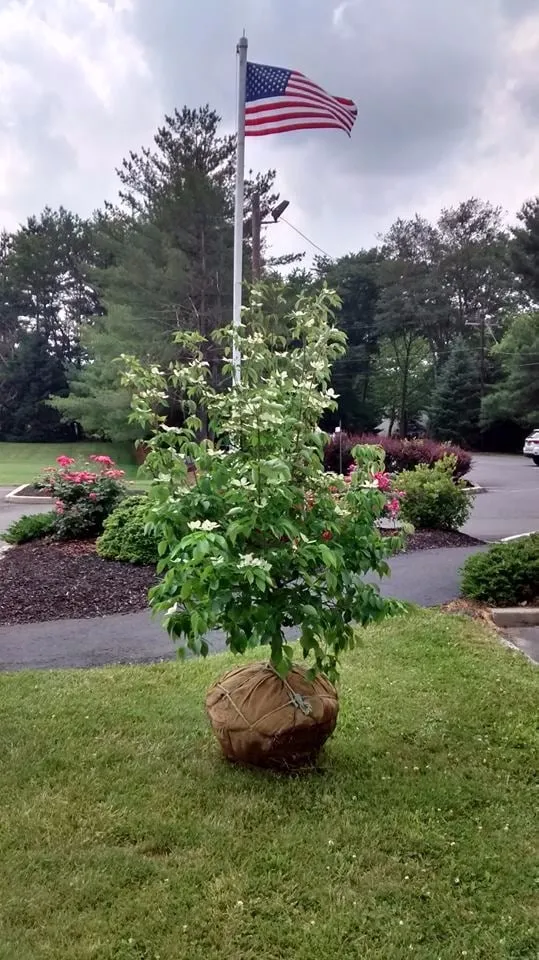 Affordable landscape design in Princeton, NJ - Oliveira Landscape & Design