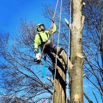 Oliveira's General Services Logo