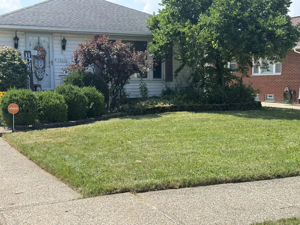 Custom yard cleanup service in Bedford, OH - Oliver Brothers