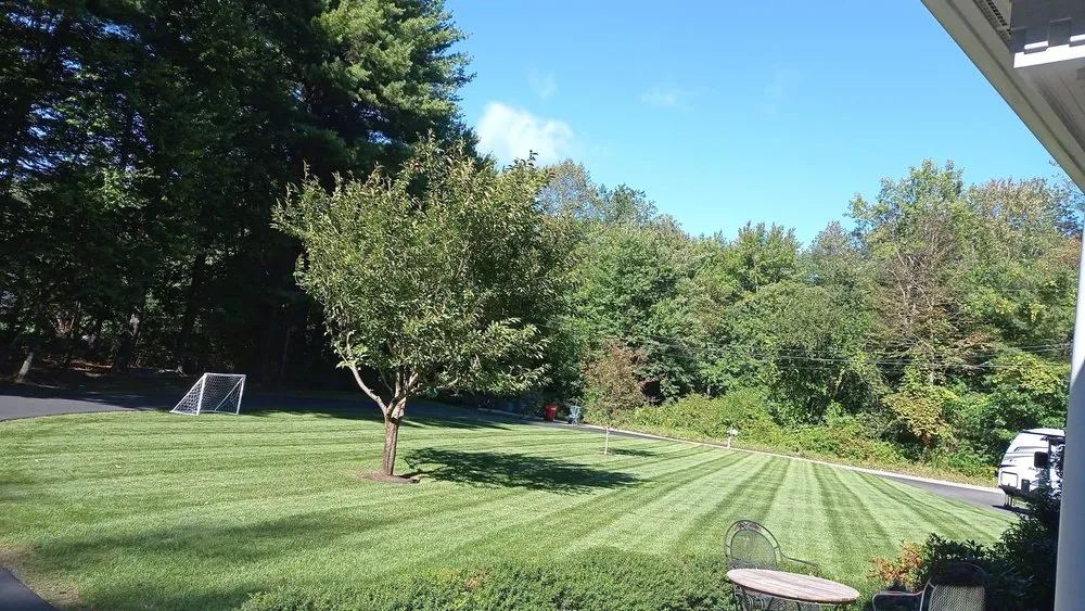 Expert garden landscaping in Brownsville, TX - Oliver Landscaping