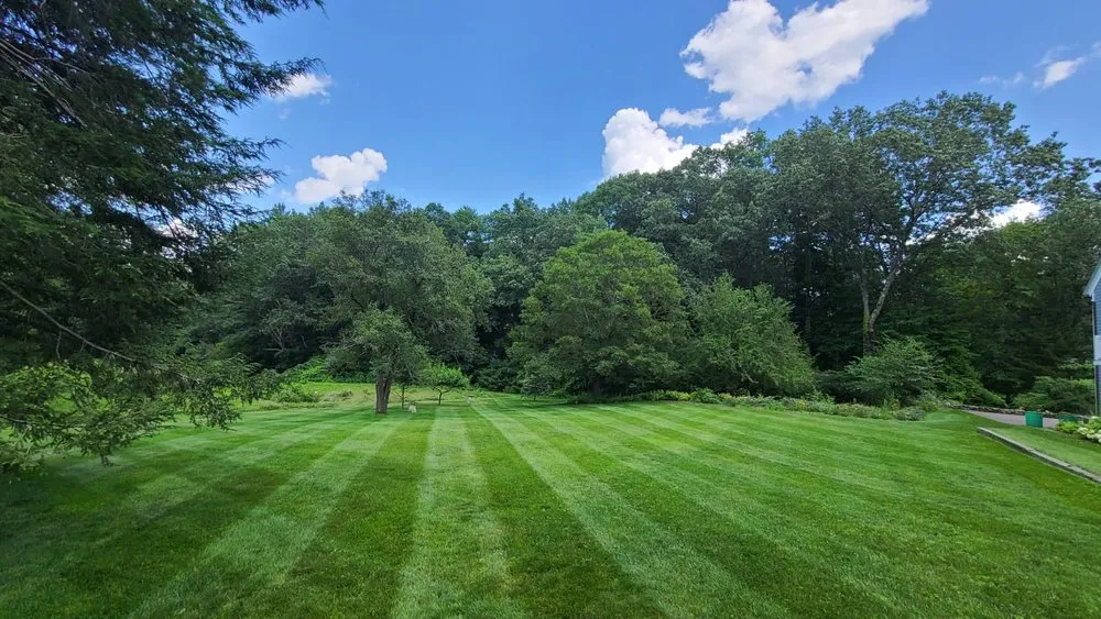 Affordable lawn care service in Brownsville, TX - Oliver Landscaping