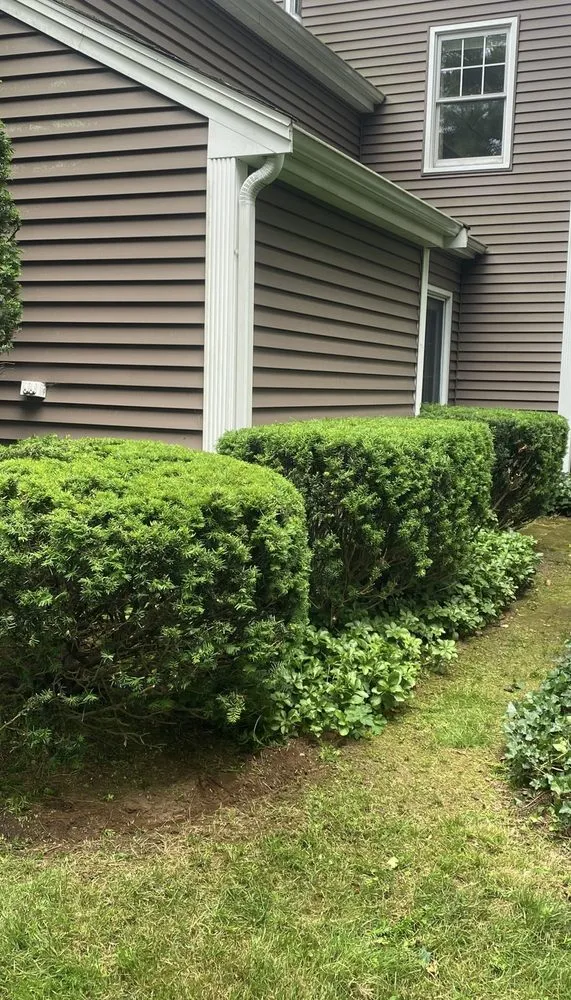 Custom landscaping services in Brownsville, TX by Oliver Landscaping