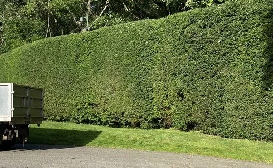 Expert landscaping services in Brownsville, TX - Oliver Landscaping