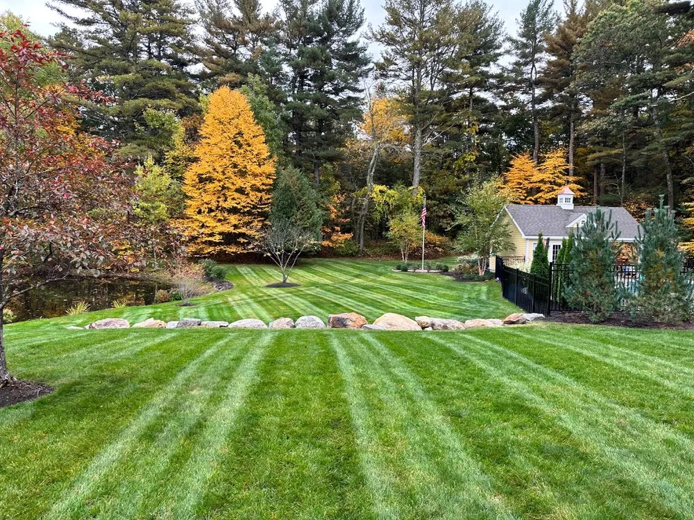 Custom landscape installation for beautiful yards in Brownsville, TX by Oliver Landscaping