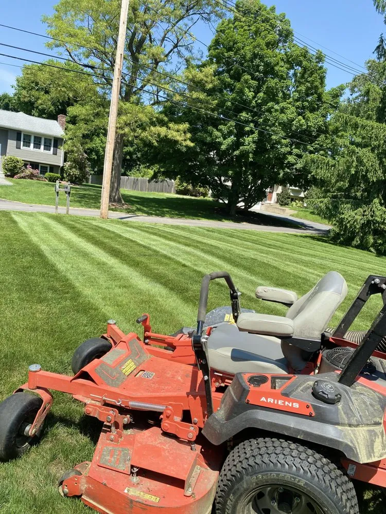 Affordable outdoor landscaping for homes in Brownsville, TX by Oliver Landscaping
