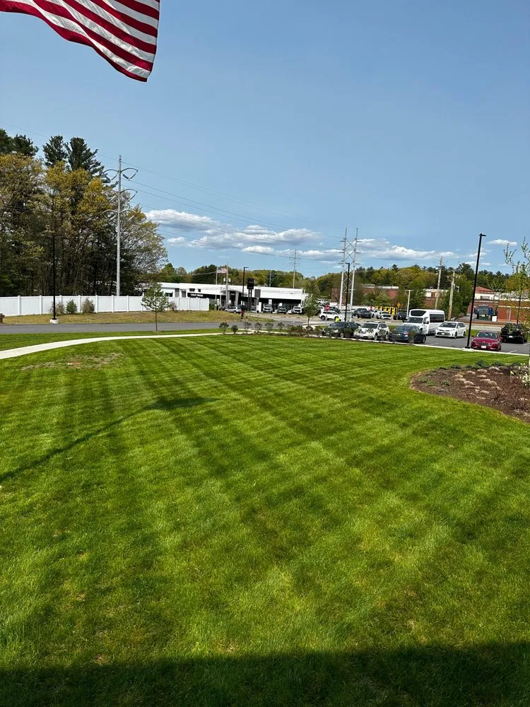 Expert landscaping services for homes in Brownsville, TX by Oliver Landscaping