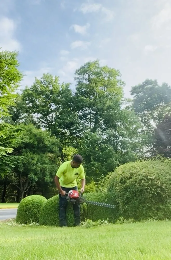 Reliable lawn care service for homes across Brownsville, TX - Oliver Landscaping