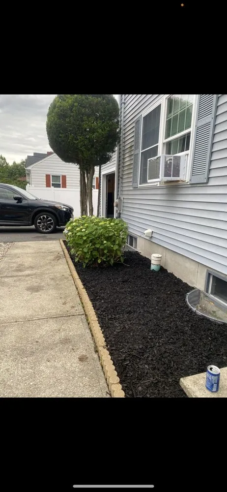 Top-rated lawn care service in Brownsville, TX - Oliver Landscaping