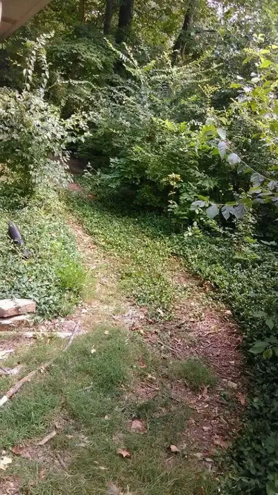 Affordable garden landscaping for residential properties across Muncie, IN - Oliver Landscaping