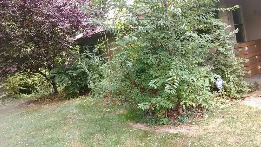 Reliable lawn care service with custom design across Muncie, IN - Oliver Landscaping