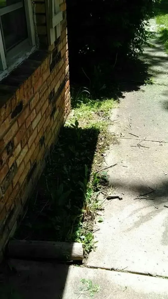 Custom lawn care service in Muncie, IN - Oliver Landscaping