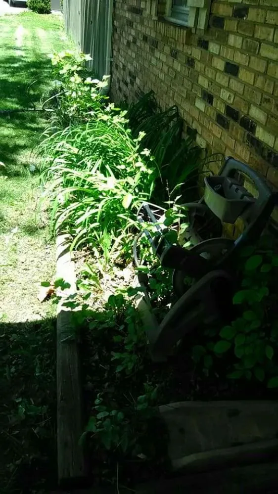 Reliable yard cleanup service for beautiful yards across Muncie, IN - Oliver Landscaping