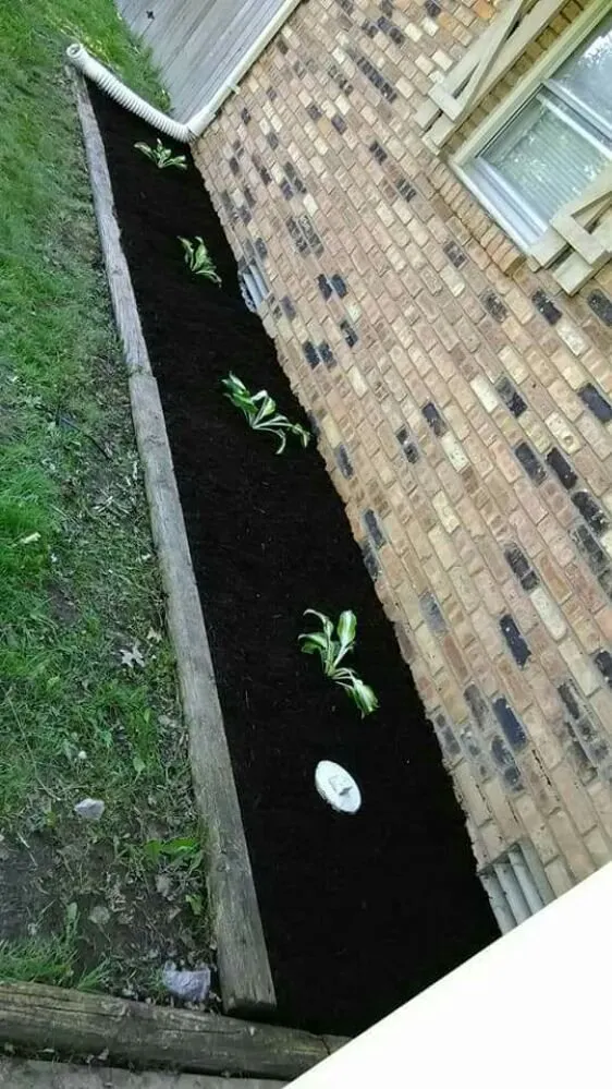 Professional outdoor landscaping for beautiful yards in Muncie, IN by Oliver Landscaping