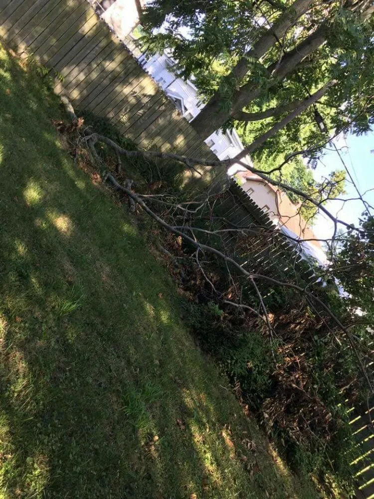 Top-rated yard cleanup service for outdoor upgrades in Muncie, IN by Oliver Landscaping