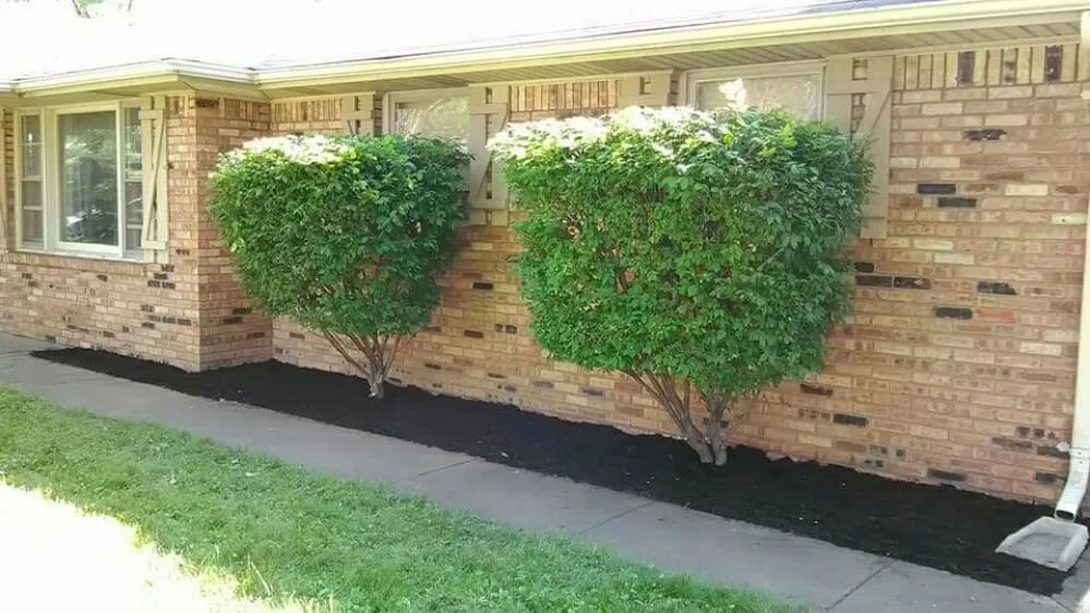 Local yard maintenance in Muncie, IN by Oliver Landscaping