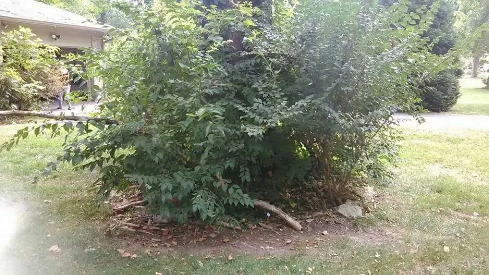 Trusted residential landscaping for outdoor upgrades in Muncie, IN by Oliver Landscaping