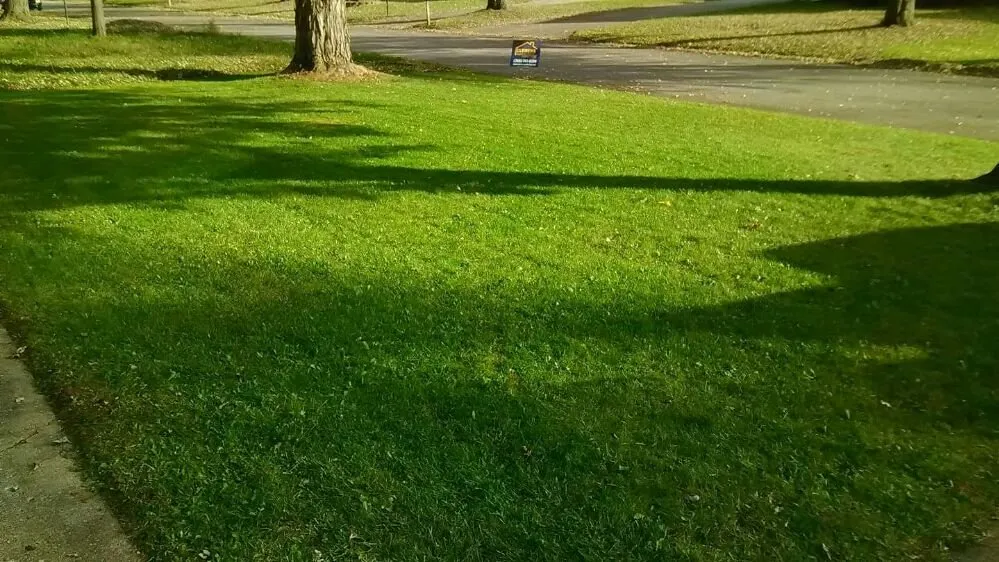 Reliable lawn care service for homes in Muncie, IN by Oliver Landscaping