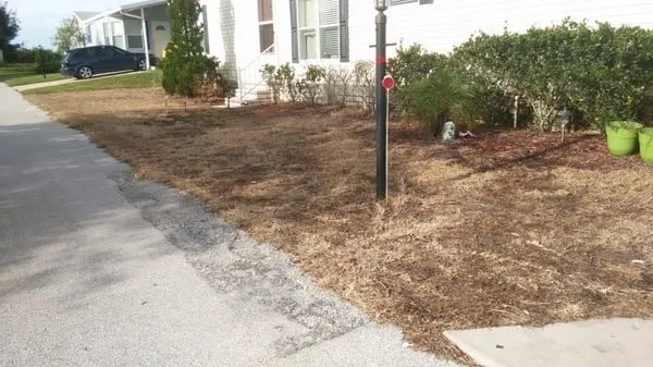 Oliver lawn and landscaping services