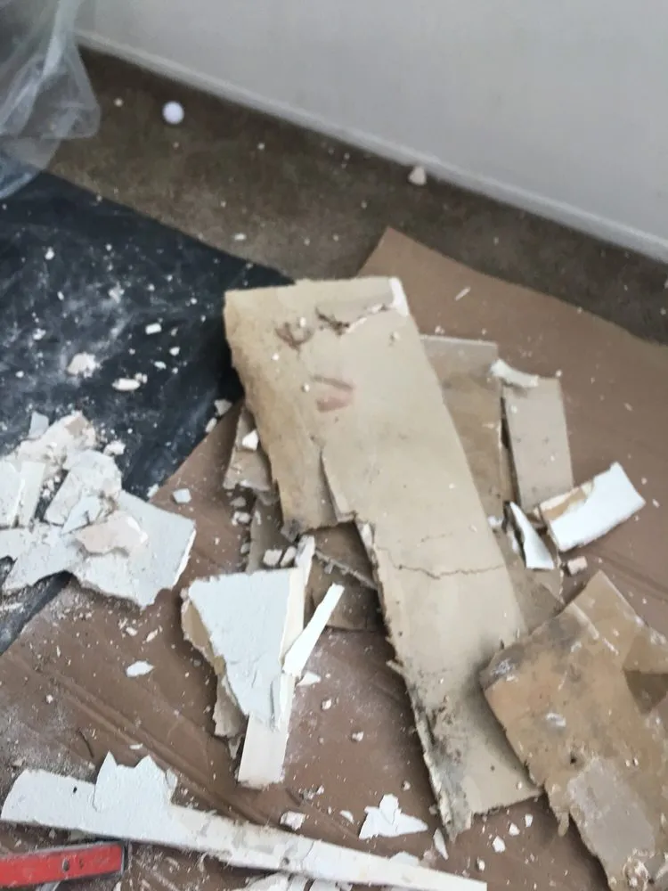 Affordable outdoor landscaping with custom design in Oxnard, CA by Oliver N