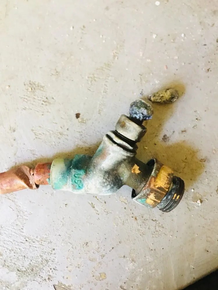 Local yard maintenance in Oxnard, CA - Oliver N