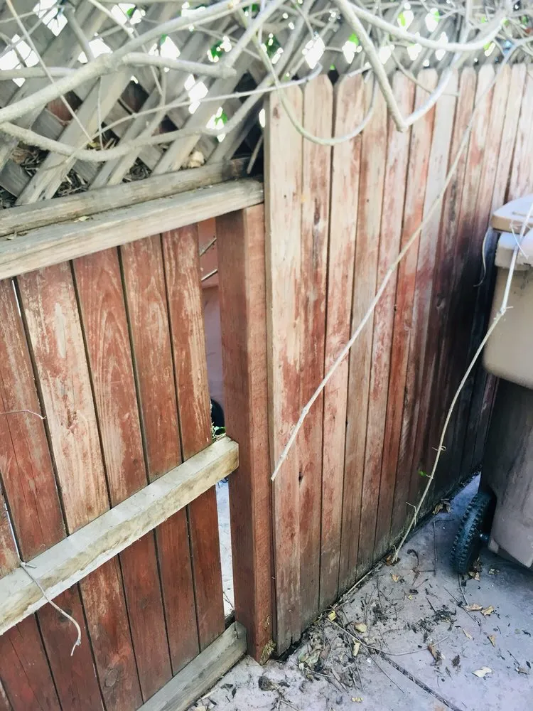 Top-rated landscape installation for year-round maintenance across Oxnard, CA - Oliver N