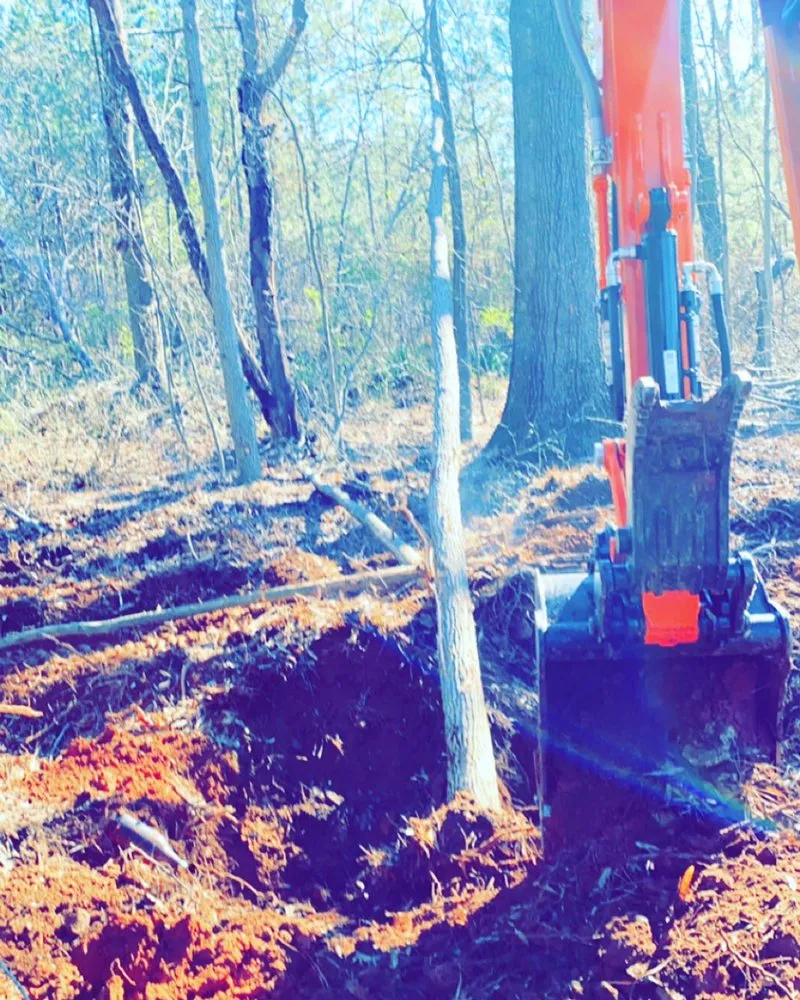 Custom landscape installation for beautiful yards across Rock Hill, SC - Oliver Outdoor Solutions