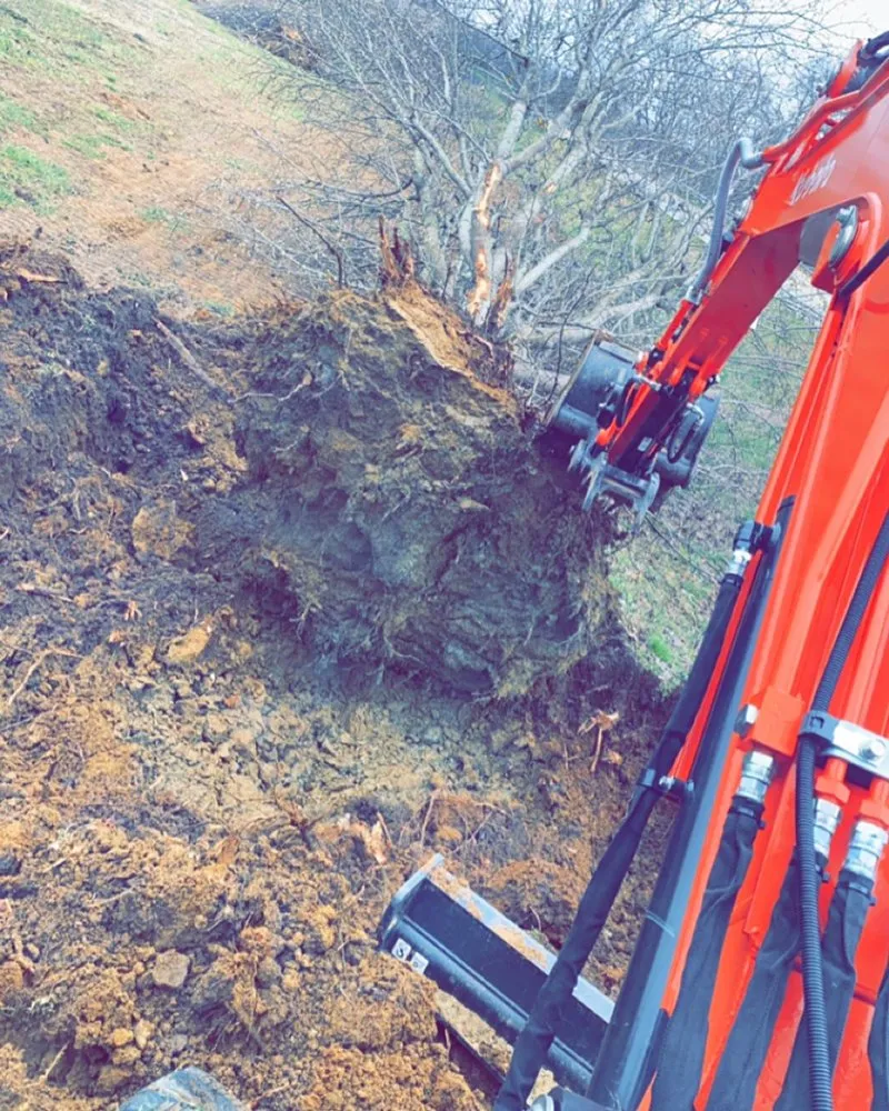 Expert outdoor landscaping in Rock Hill, SC - Oliver Outdoor Solutions