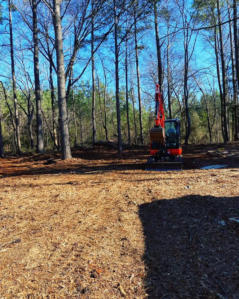 Custom yard cleanup service for residential properties across Rock Hill, SC - Oliver Outdoor Solutions
