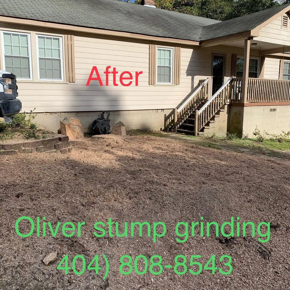 Trusted outdoor landscaping experts serving Powder Springs, GA - Oliver Stump Grinding & Lawn Services