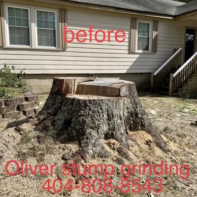Oliver Stump Grinding & Lawn Services Logo