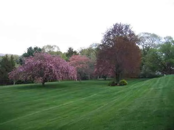 Professional residential landscaping experts serving Springfield, MA - Olivera Landscaping