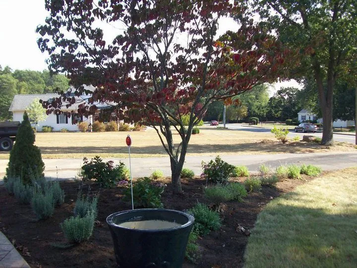 Expert yard maintenance for residential properties in Springfield, MA by Olivera Landscaping