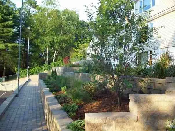 Expert yard maintenance in Springfield, MA by Olivera Landscaping