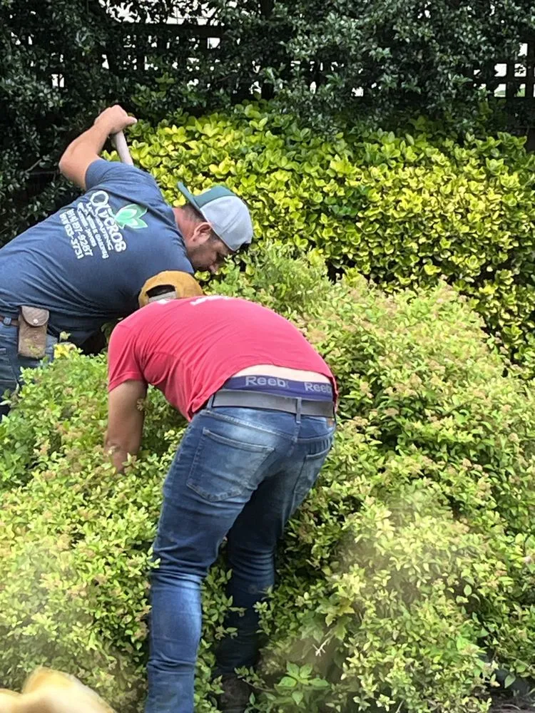 Professional outdoor landscaping in New Rochelle, NY by Oliveros Landscaping