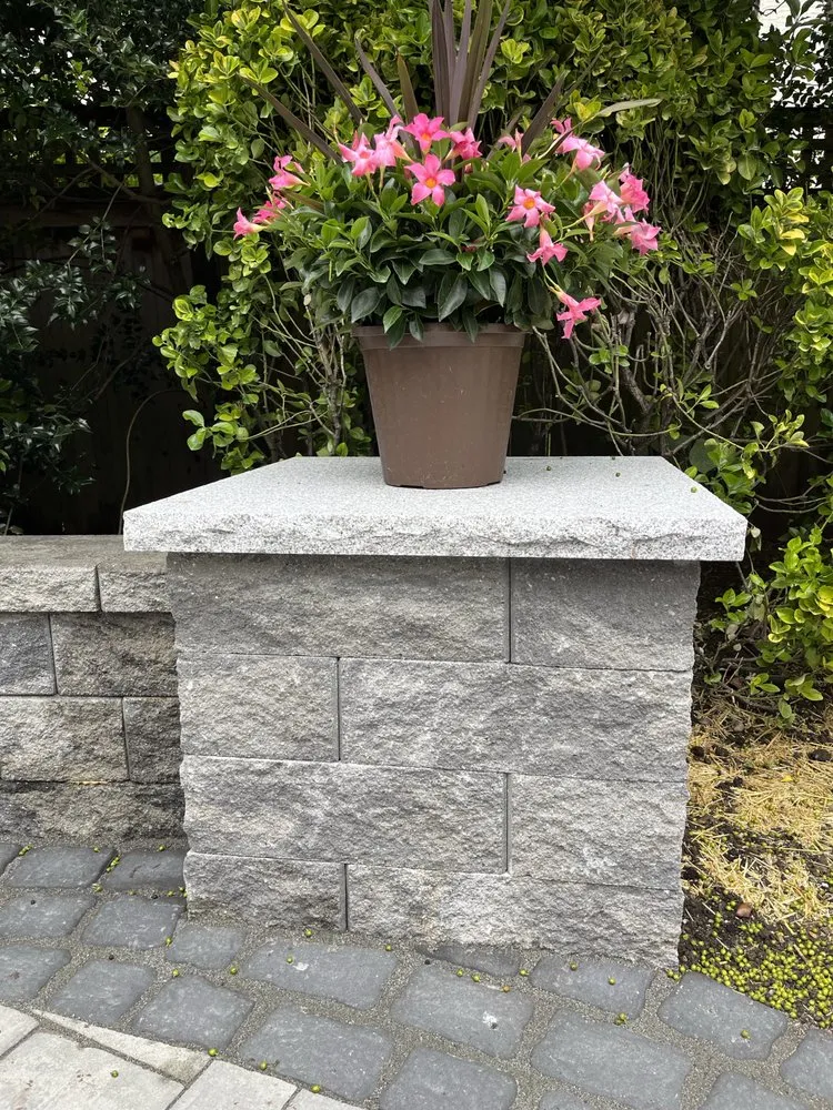 Reliable lawn care service experts serving New Rochelle, NY - Oliveros Landscaping