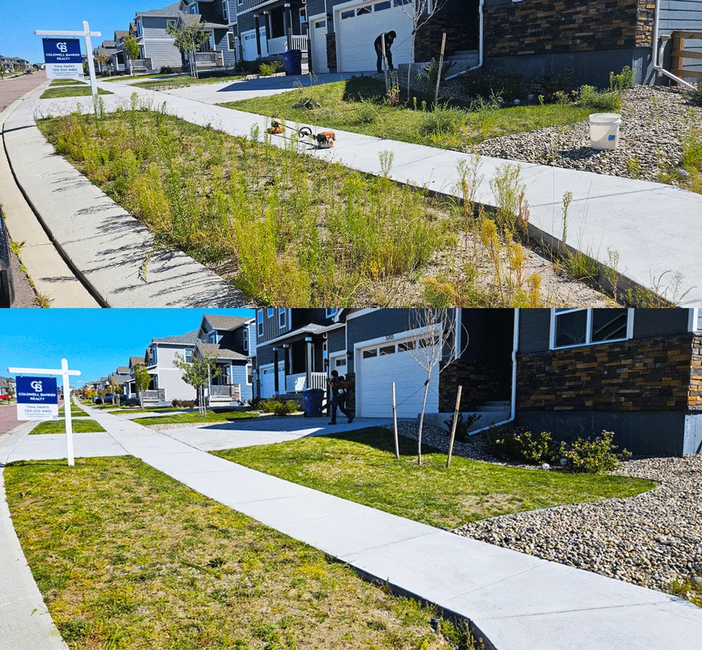 Local landscape installation in Colorado Springs, CO by Oliver's Homestead Services