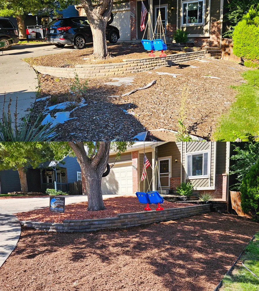 Reliable yard cleanup service near you in Colorado Springs, CO by Oliver's Homestead Services