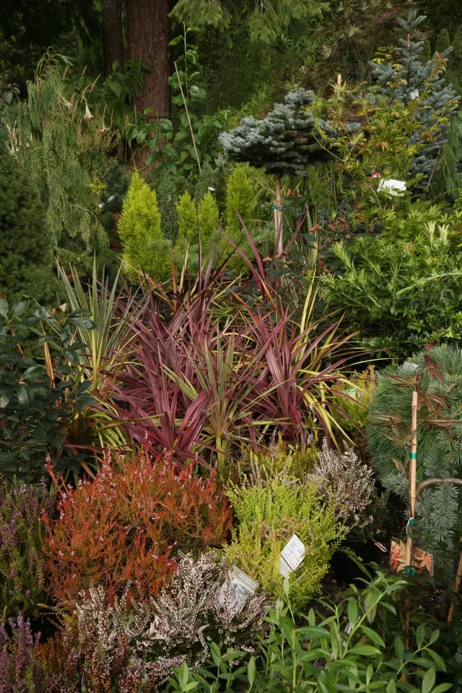 Local landscape installation for year-round maintenance across Olympia, WA - Oliver's Landscaping & Garden Service