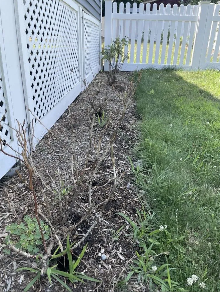 Professional landscaping services for beautiful yards in Leominster, MA by Oliver’s Landscaping