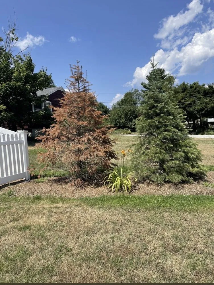 Local lawn mowing service in Leominster, MA by Oliver’s Landscaping