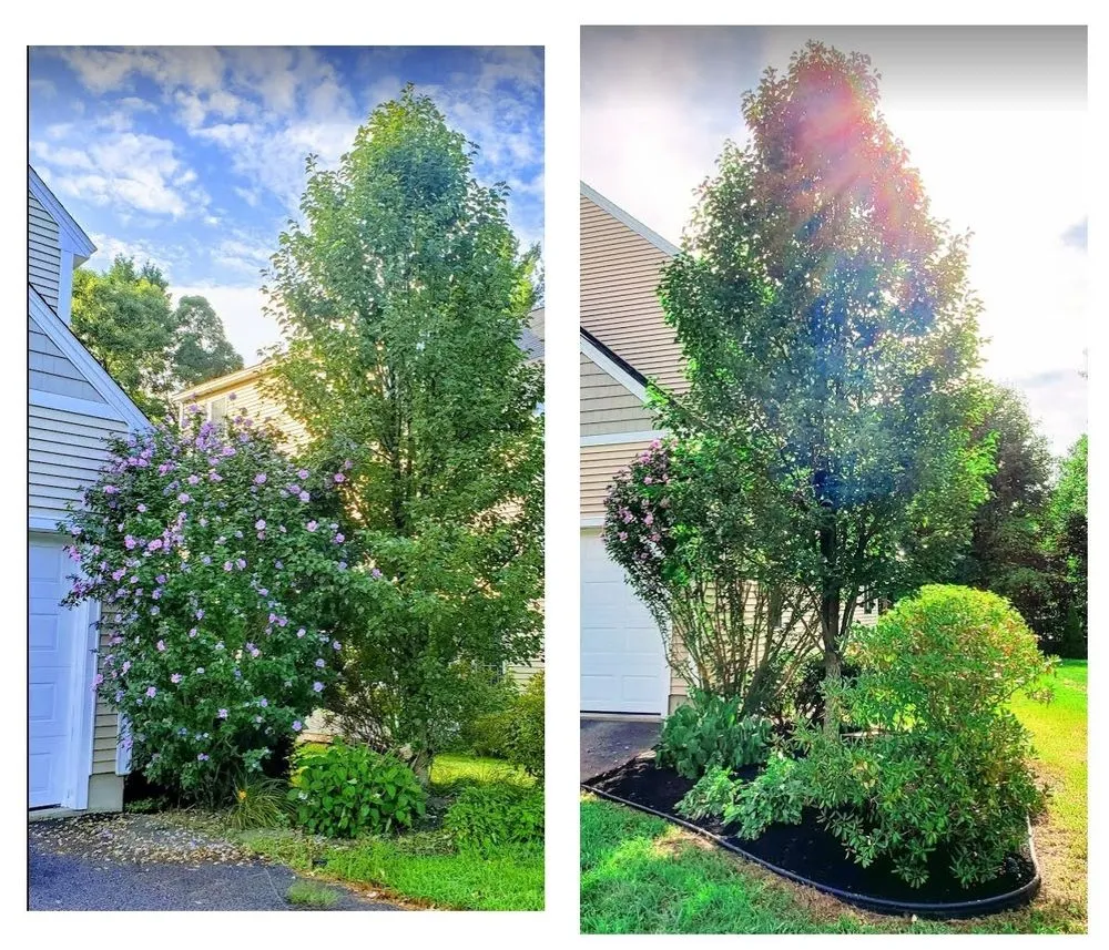 Professional landscape design in Leominster, MA - Oliver’s Landscaping