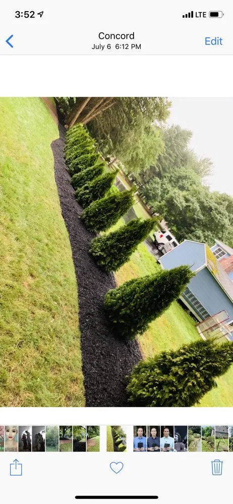 Trusted yard maintenance experts serving Leominster, MA - Oliver’s Landscaping