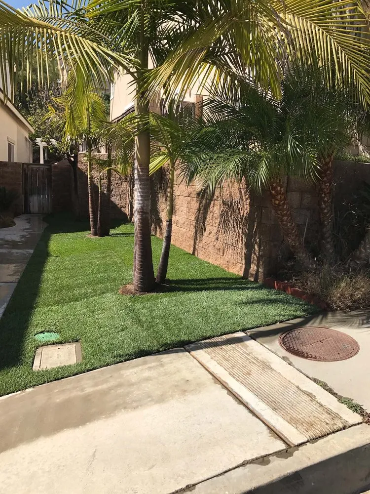 Custom residential landscaping near you across Escondido, CA - Olive’s Gardening