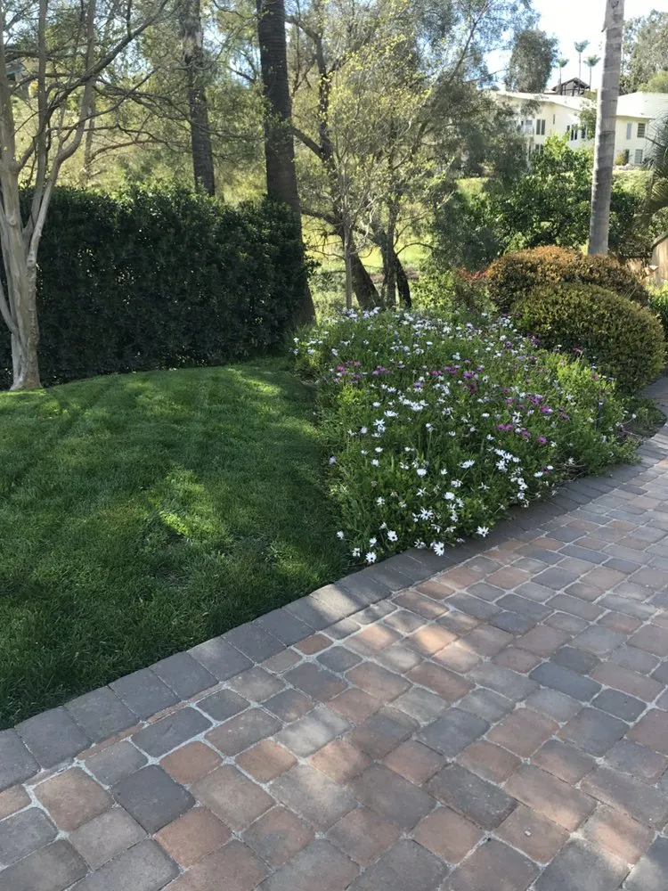Trusted residential landscaping in Escondido, CA - Olive’s Gardening