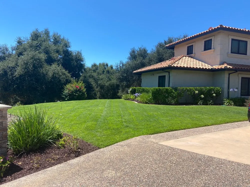 Local lawn care service in Escondido, CA - Olive’s Gardening