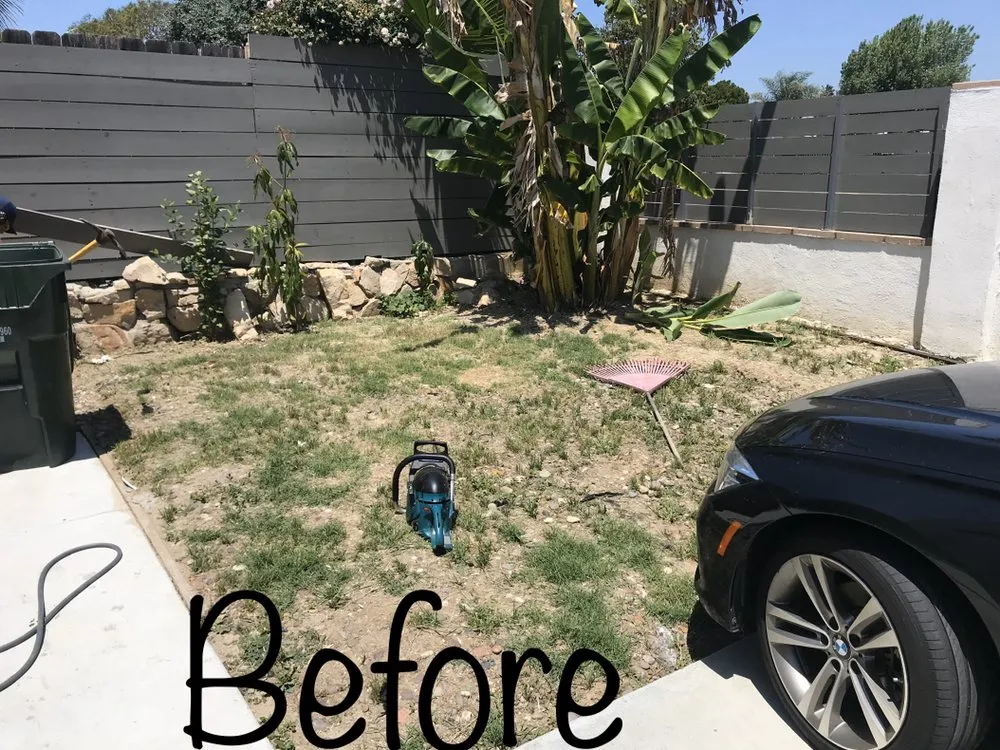 Top-rated landscape design for residential properties in Escondido, CA by Olive’s Gardening