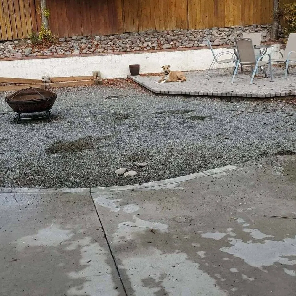 Reliable residential landscaping in Escondido, CA by Olive’s Gardening